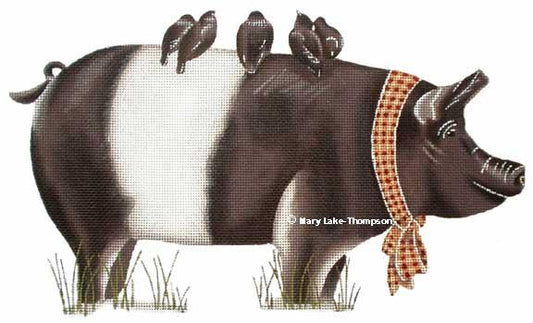 Hampshire Pig  MLT289