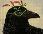 Greta the Raven  VS161
