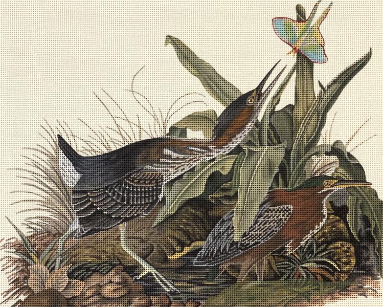 Birds and Luna Moth  2271