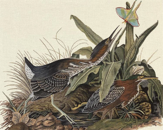 Birds and Luna Moth  2271