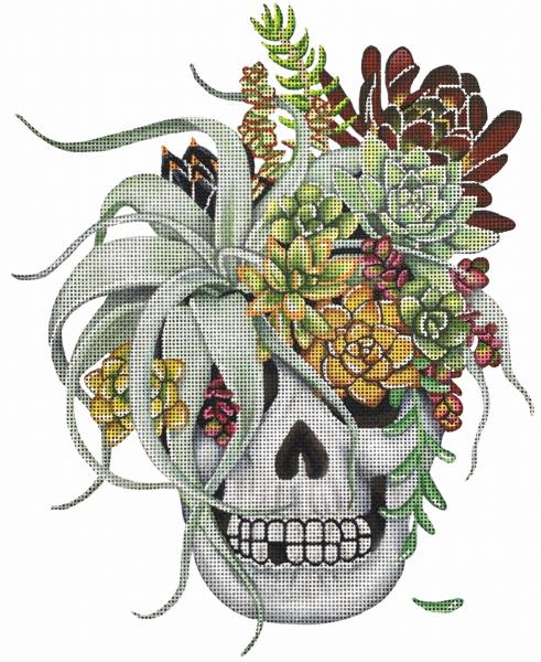Succulent Skull  MLT704