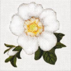 White Rose  2262-D