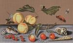 Fruit and Shells  2253