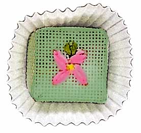 Wintergreen  1079-O
