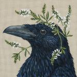 Lilah the Raven  VS373