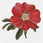 Red Rose  2262-B