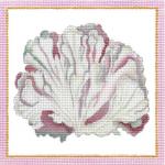 Coral  1523-D