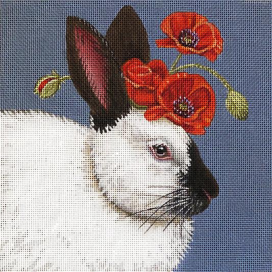 Naomi the Bunny  VS363