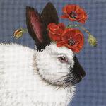 Naomi the Bunny  VS363