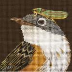 Henry the American Redstart  VS361-D