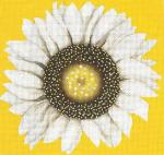 Sunflower  MLT523