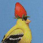 Strawberry Goldfinch  VS147-A