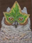 Heidi the Owl  VS317