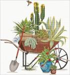 Succulent Wheelbarrow  MLT720