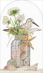 Seashell Jar Dome  MLT721