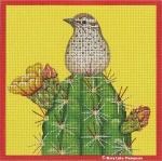 Cactus Wren  MLT357
