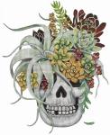 Succulent Skull  MLT704