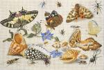Shells and Insects  1946-A
