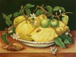Citron Plate  1841