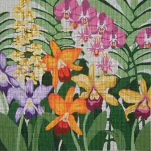 Orchids 169