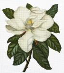 Vintage Magnolia  2085