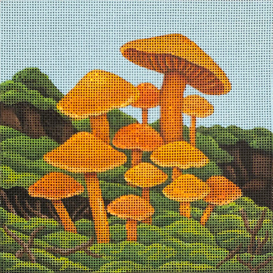 Orange Cap Mushrooms  2337-D