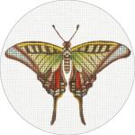 Green and Red Butterfly Ornament  MLT746-C