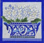 Hydrangea  530-D