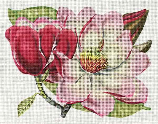 Pink Magnolia  1989