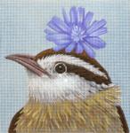 Carolina Wren  VS201-C