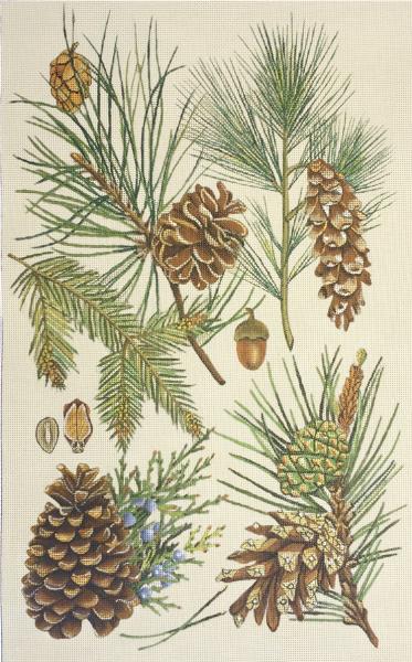 Pine Cones  MLT517