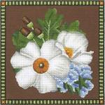 Matilija Poppy  1644-2B