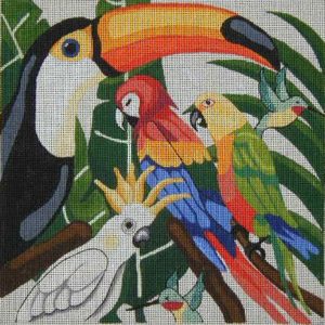 Tropical Birds 173