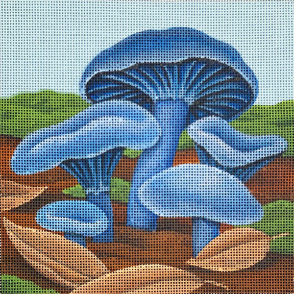 Blue Oyster Mushrooms  2337-C