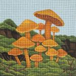 Orange Cap Mushrooms  2337-D