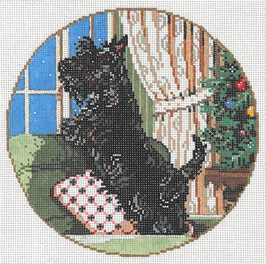 Scottie  18-1086