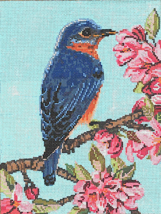 Bluebird  18-1101