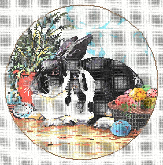 Mr. Whiskers  18-1115