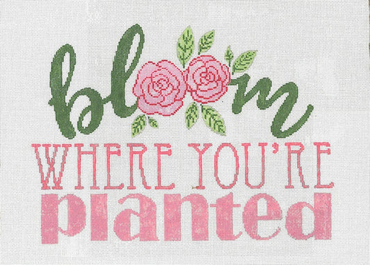 Bloom  18-1243