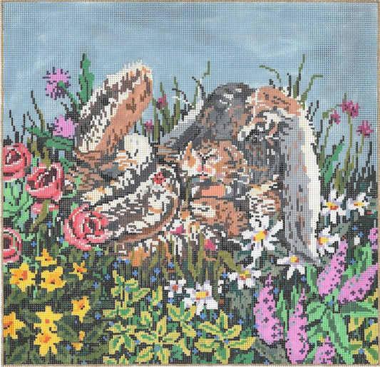 Some Bunny  18-292