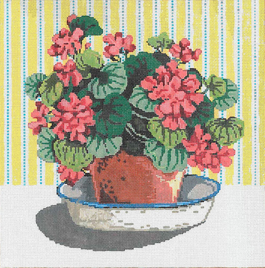 Geraniums  18-510