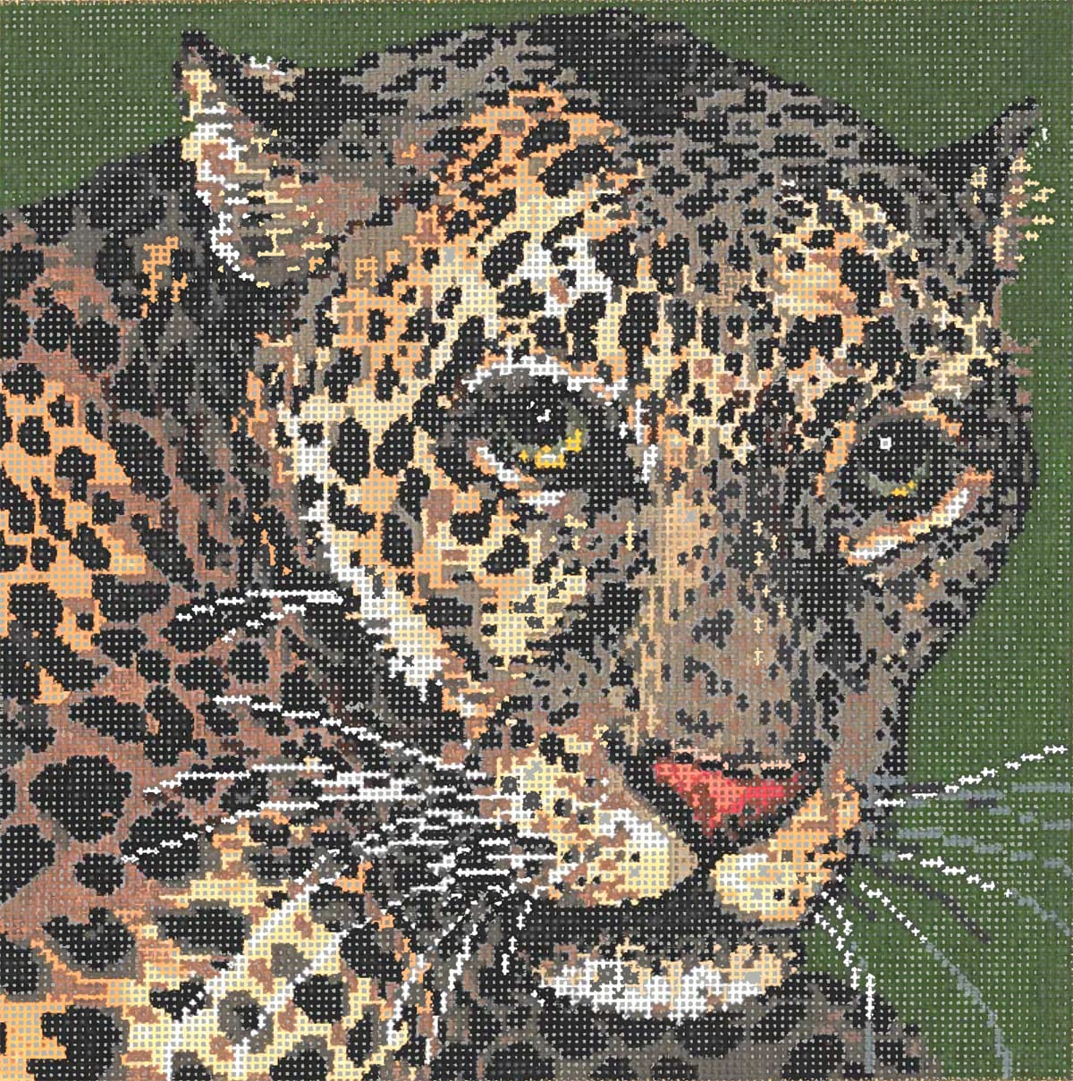 Jaguar  18-923