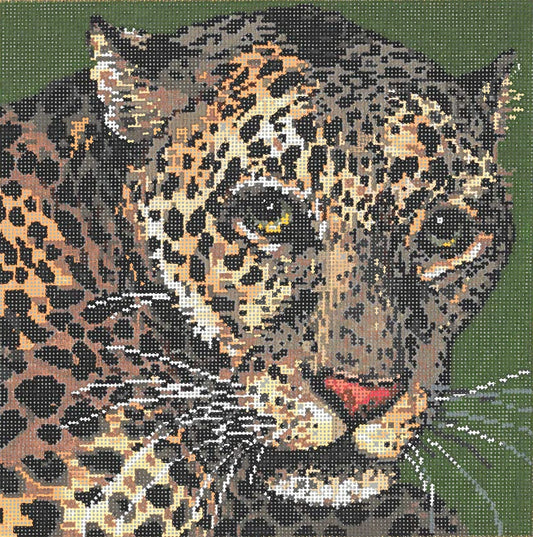 Jaguar  18-923