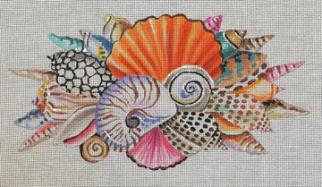 Seashells  CL043