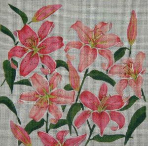 Stargazer Lily 217