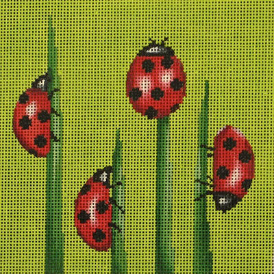 Lady Bugs 24016