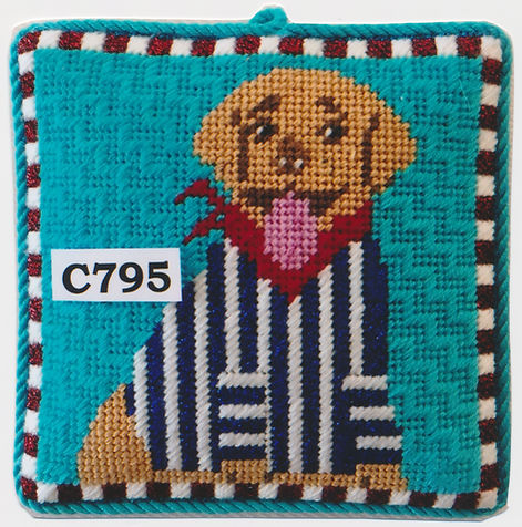 Sporty Labrador C795