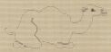 Nativity: Reclining Camel (on Ecru) PT310B