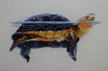 Turtle   AN494