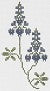 Western: Bluebonnets PT345BB